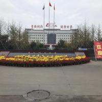 Lunan Pharmaceutical Group Co. LTD