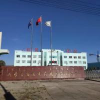 Inner Mongolia Baiyi Pharmaceutical Co. LTD Inner Mongolia Baiyi Pharmaceutical Co. LTD