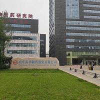 Shandong Xinhua Pharmaceutical Company Limited Shandong Xinhua Pharmaceutical Company Limited
