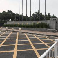 China Pharmaceutical University