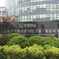 Huaaotai Pharmaceutical Huaaotai Pharmaceutical