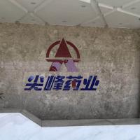 Zhejiang Pinnacle Pharmaceutical Co. LTD Zhejiang Pinnacle Pharmaceutical Co. LTD
